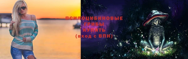 бошки Абаза