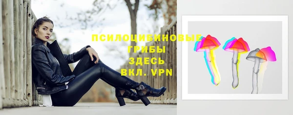бошки Абаза