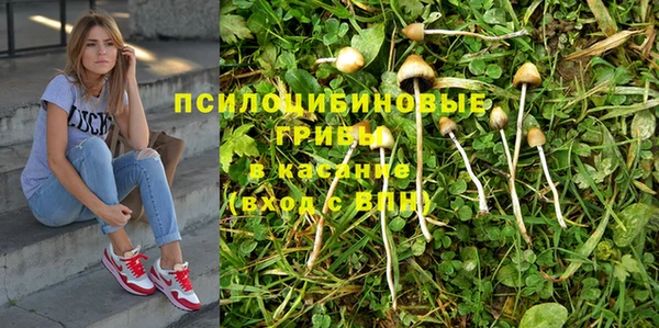 спайс Абинск