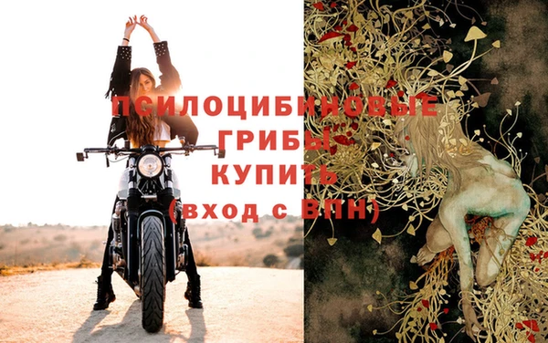 гашик Абдулино