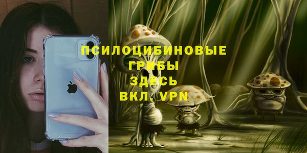 бошки Абаза