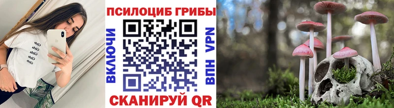 Галлюциногенные грибы мухоморы Старая Русса
