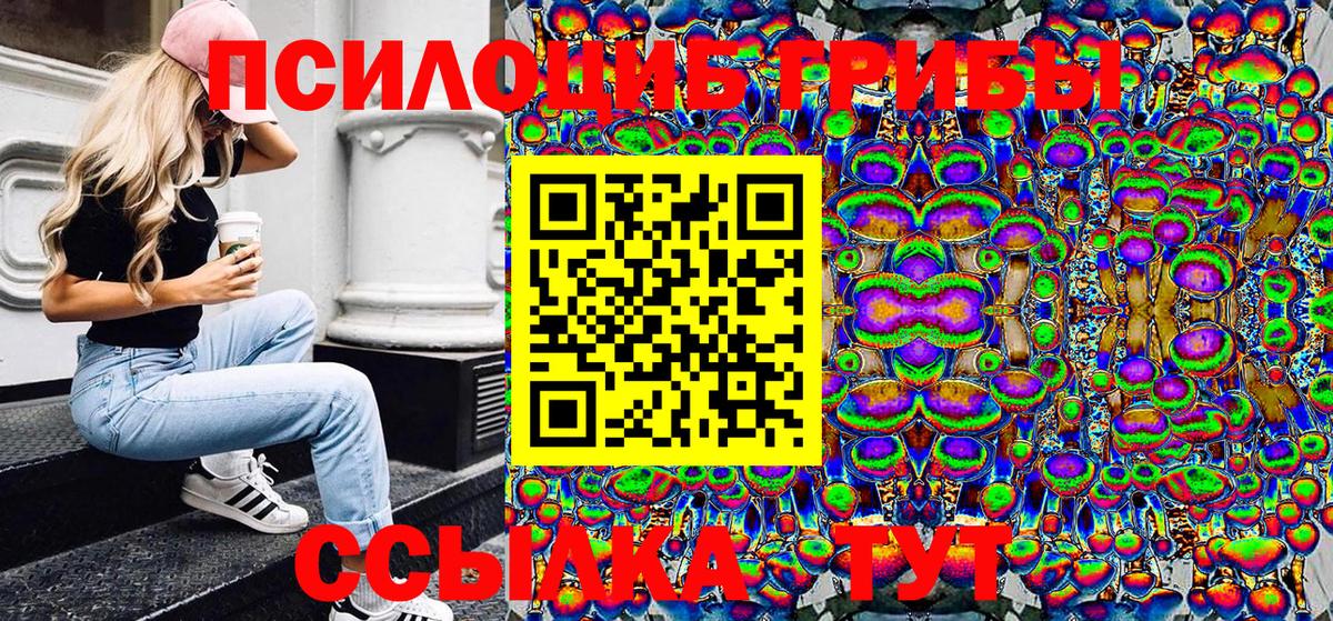 Старая Русса  Псилоцибиновые грибы Psilocybine cubensis  Вход с VPN 