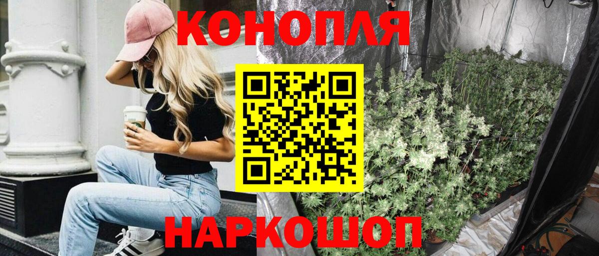 Конопля AK-47  Вход с VPN  Бошки Шишки LSD WEED  Канабис White Widow  Бошки Шишки план  Старая Русса 